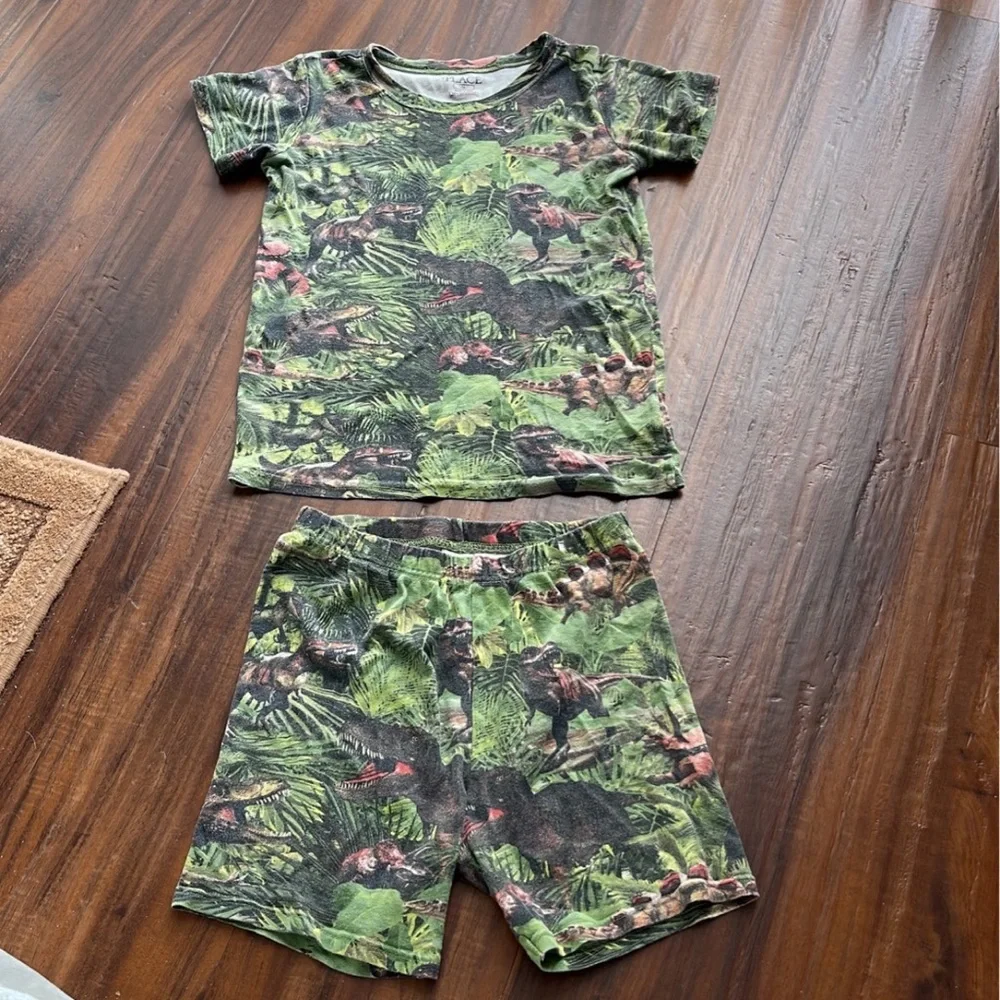 Beautiful PJ Pajamas set dinosaur